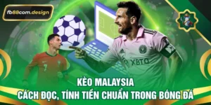 Kèo Malaysia - Cách Đọc, Tính Tiền Chuẩn Trong Bóng Đá