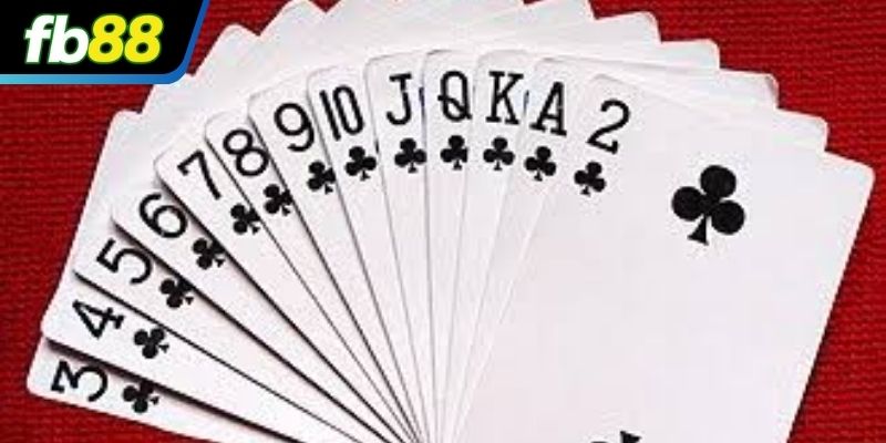 Khái niệm về 5 đôi thông chặt được gì?