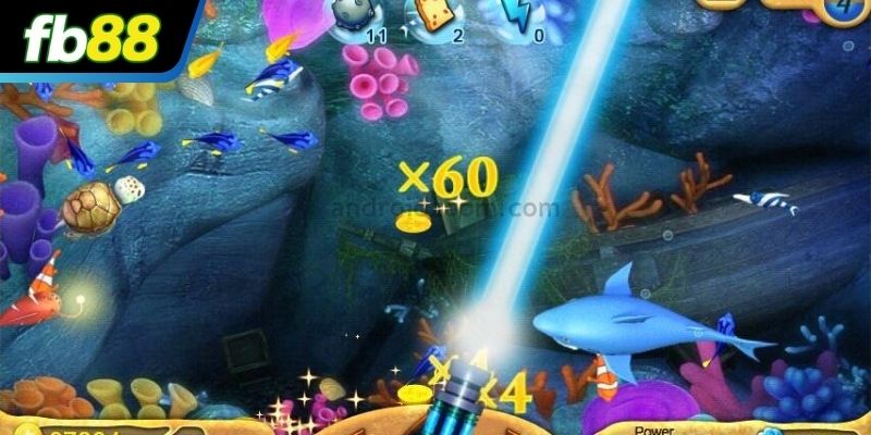 Người chơi cần nắm rõ quy tắc trước khi săn cá