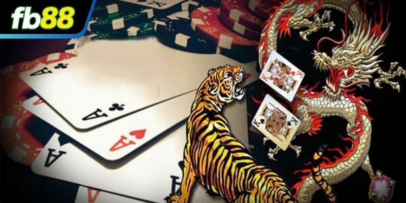 Các lựa chọn cửa cược thường gặp trong trò chơi Rồng hổ